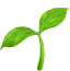icon pflanze